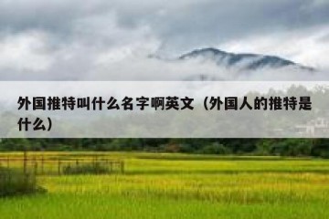 外国推特叫什么名字啊英文（外国人的推特是什么）