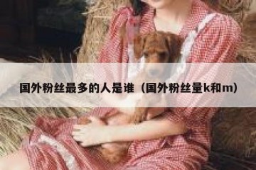 国外粉丝最多的人是谁（国外粉丝量k和m）