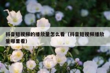 抖音短视频的播放量怎么看（抖音短视频播放量哪里看）