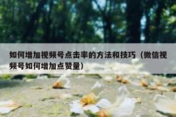 如何增加视频号点击率的方法和技巧（微信视频号如何增加点赞量）