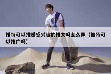 推特可以推送感兴趣的推文吗怎么弄（推特可以推广吗）