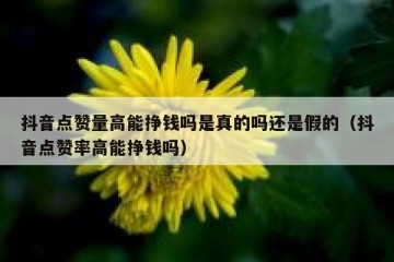 抖音点赞量高能挣钱吗是真的吗还是假的（抖音点赞率高能挣钱吗）