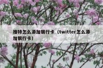 推特怎么添加银行卡（twitter怎么添加银行卡）