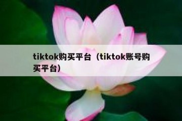 tiktok购买平台（tiktok账号购买平台）