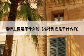 推特主要是干什么的（推特到底是干什么的）