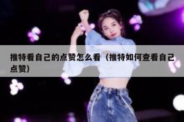 推特看自己的点赞怎么看（推特如何查看自己点赞）