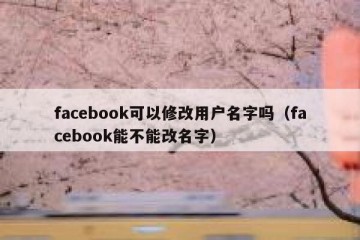 facebook可以修改用户名字吗（facebook能不能改名字）