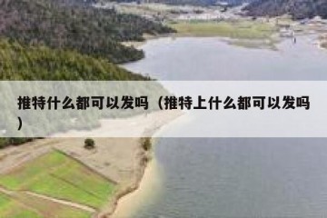 推特什么都可以发吗（推特上什么都可以发吗）