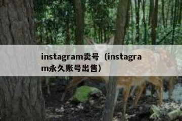 instagram卖号（instagram永久账号出售）