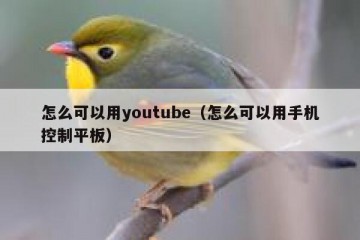 怎么可以用youtube（怎么可以用手机控制平板）