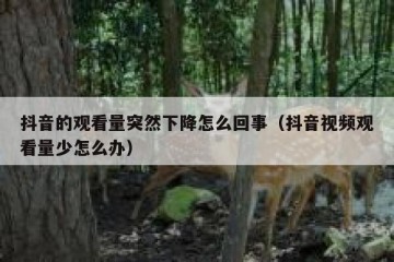 抖音的观看量突然下降怎么回事（抖音视频观看量少怎么办）