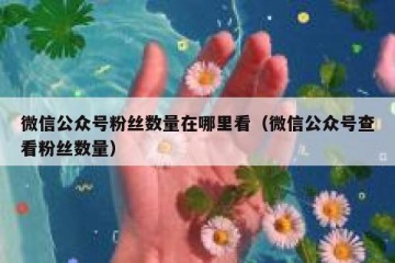 微信公众号粉丝数量在哪里看（微信公众号查看粉丝数量）