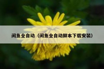 闲鱼全自动（闲鱼全自动脚本下载安装）