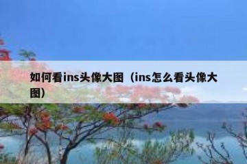 如何看ins头像大图（ins怎么看头像大图）