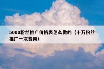 5000粉丝推广价格表怎么做的（十万粉丝推广一次费用）