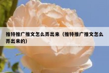 推特推广推文怎么弄出来（推特推广推文怎么弄出来的）