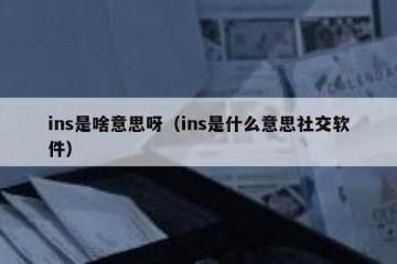 ins是啥意思呀（ins是什么意思社交软件）