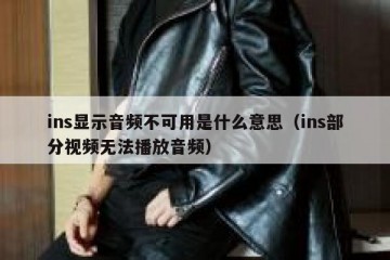 ins显示音频不可用是什么意思（ins部分视频无法播放音频）
