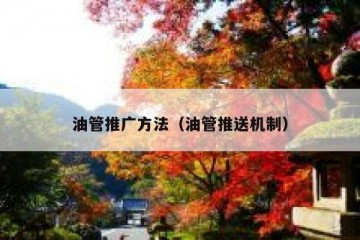 油管推广方法（油管推送机制）