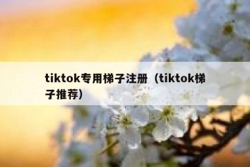 tiktok专用梯子注册（tiktok梯子推荐）