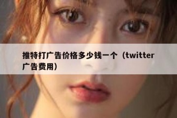 推特打广告价格多少钱一个（twitter广告费用）