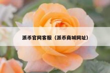 派币官网客服（派币商城网址）