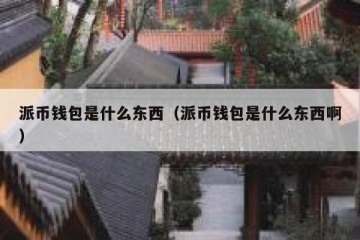 派币钱包是什么东西（派币钱包是什么东西啊）