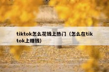 tiktok怎么花钱上热门（怎么在tiktok上赚钱）