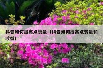 抖音如何提高点赞量（抖音如何提高点赞量和收益）