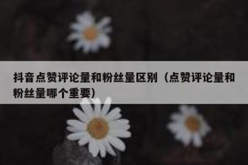 抖音点赞评论量和粉丝量区别（点赞评论量和粉丝量哪个重要）