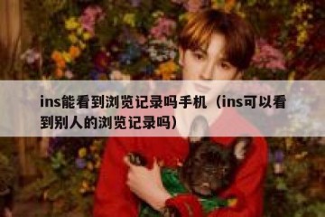 ins能看到浏览记录吗手机（ins可以看到别人的浏览记录吗）