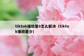 tiktok播放量0怎么解决（tiktok播放量少）