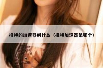推特的加速器叫什么（推特加速器是哪个）