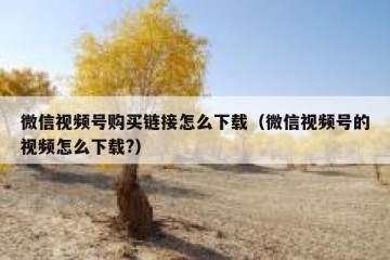 微信视频号购买链接怎么下载（微信视频号的视频怎么下载?）