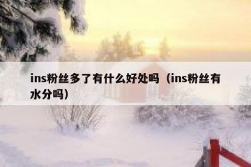 ins粉丝多了有什么好处吗（ins粉丝有水分吗）