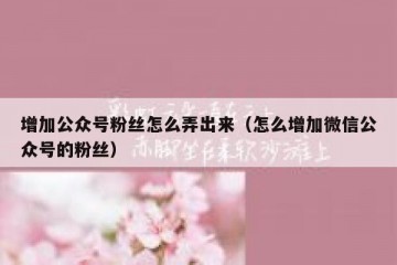 增加公众号粉丝怎么弄出来（怎么增加微信公众号的粉丝）