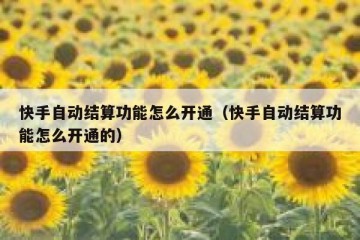快手自动结算功能怎么开通（快手自动结算功能怎么开通的）