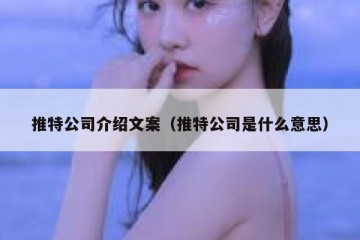 推特公司介绍文案（推特公司是什么意思）