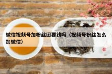 微信视频号加粉丝团要钱吗（视频号粉丝怎么加微信）