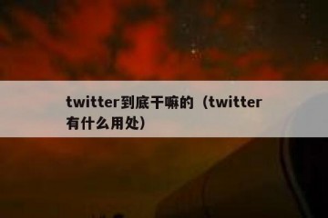 twitter到底干嘛的（twitter有什么用处）