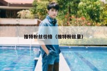 推特粉丝价格（推特粉丝量）