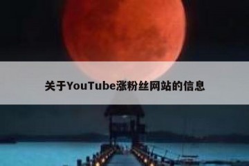 关于YouTube涨粉丝网站的信息