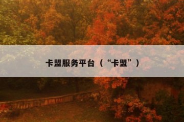 卡盟服务平台（“卡盟”）
