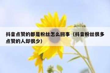 抖音点赞的都是粉丝怎么回事（抖音粉丝很多点赞的人却很少）