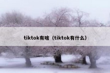 tiktok有啥（tiktok有什么）