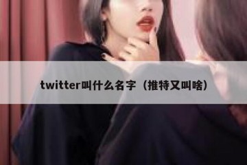twitter叫什么名字（推特又叫啥）
