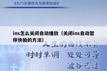 ins怎么关闭自动播放（关闭ins自动暂停快拍的方法）