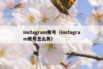 instagram账号（instagram账号怎么弄）
