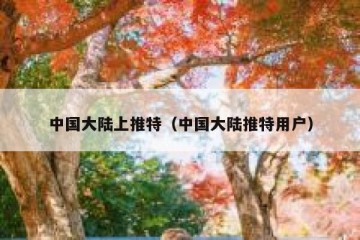 中国大陆上推特（中国大陆推特用户）