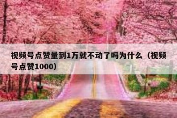 视频号点赞量到1万就不动了吗为什么（视频号点赞1000）
